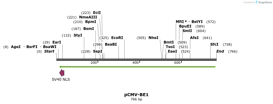 136959_map