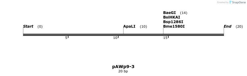 136964_map