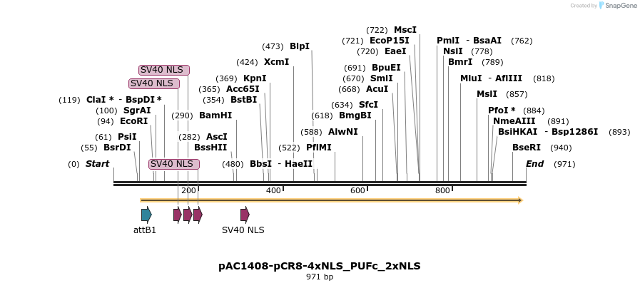 136969_map