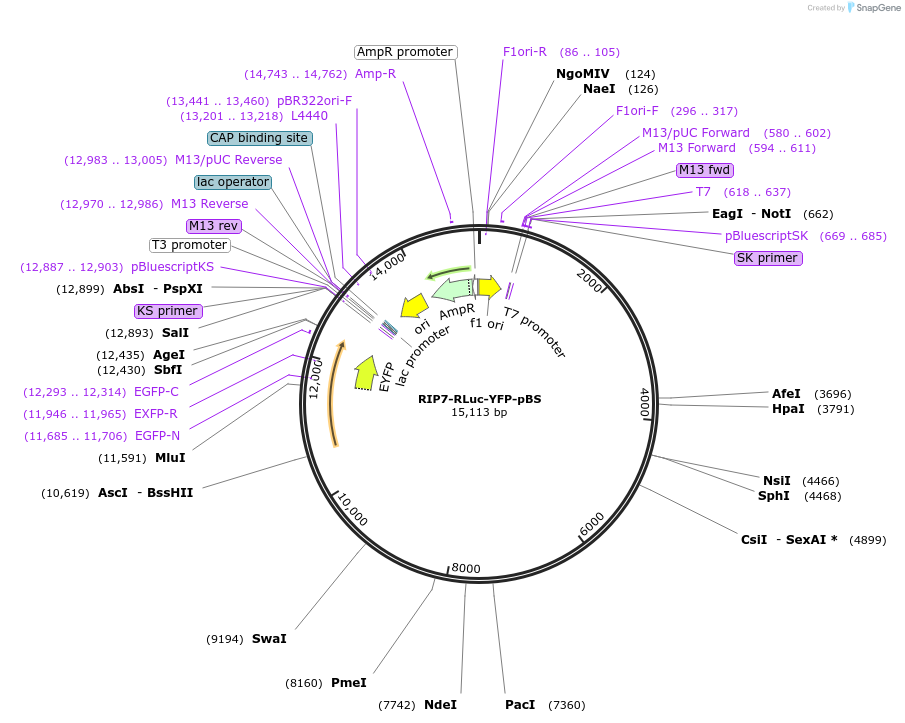 136970_map