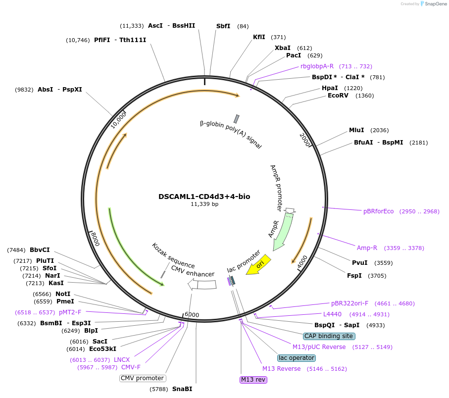 136982_map