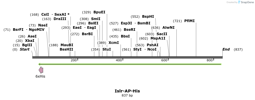 136998_map