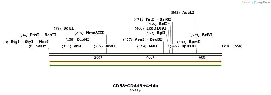 136999_map