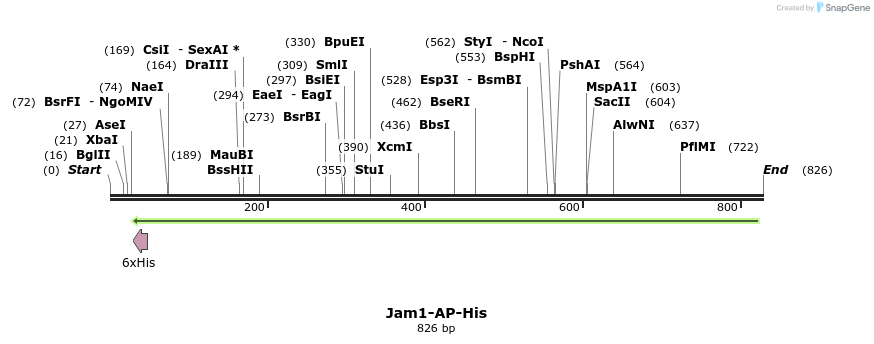 137000_map