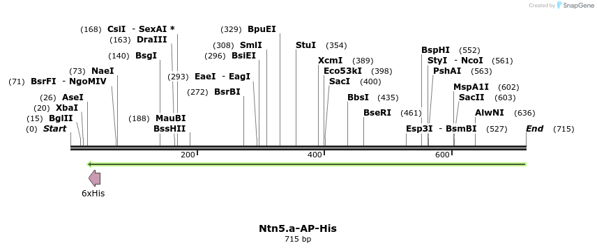 137001_map