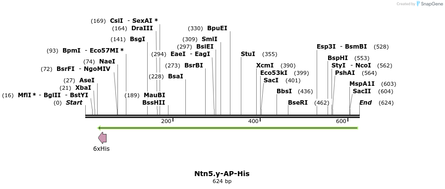 137002_map