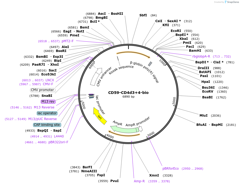 137008_map