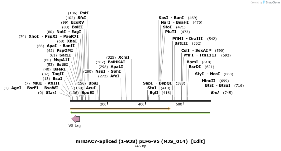 137013_map