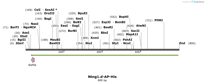 137022_map