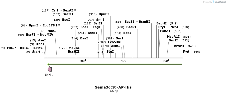 137024_map