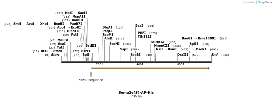 137028_map