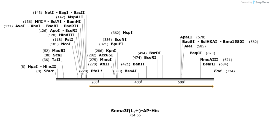 137030_map