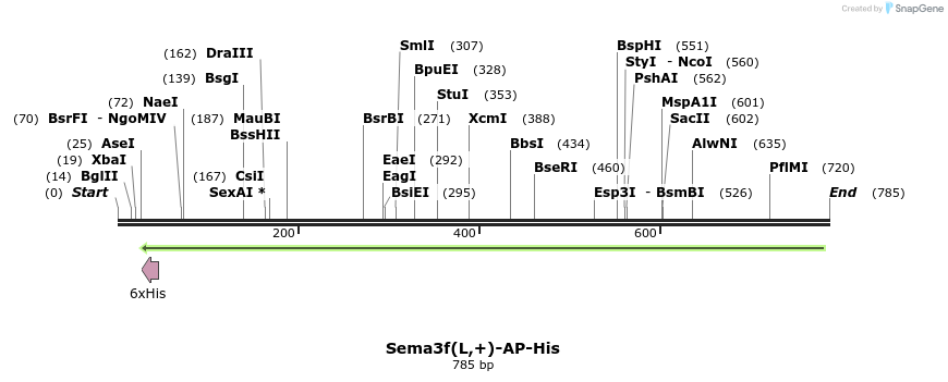 137031_map