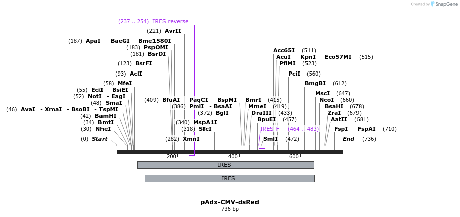 137040_map