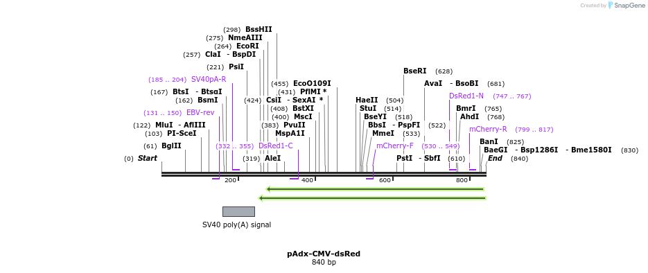 137041_map