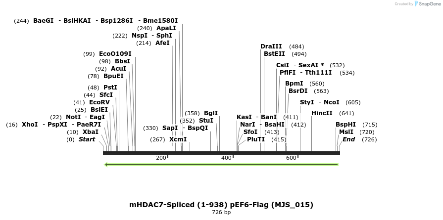 137051_map