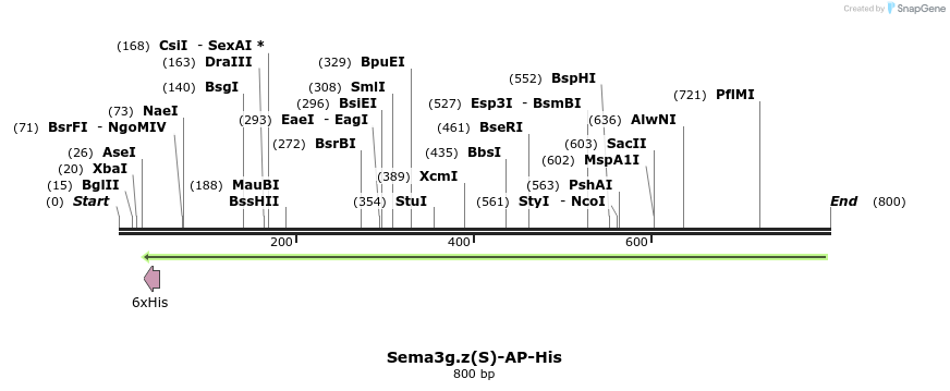 137052_map