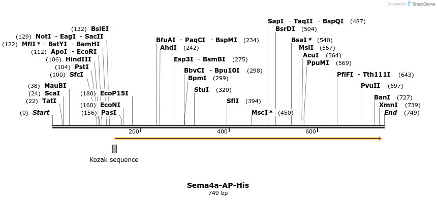 137053_map