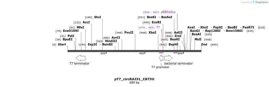 137056_map