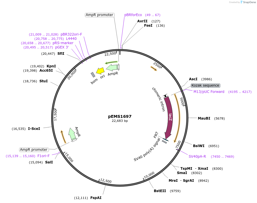 13707_map