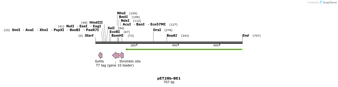 137075_map