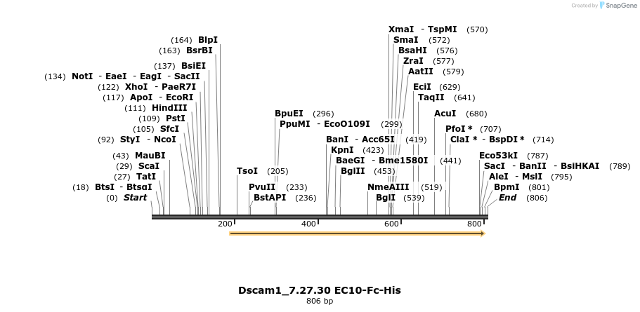 137078_map