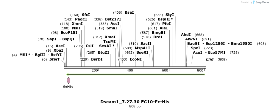137080_map