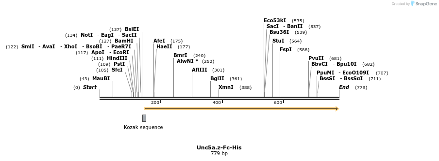 137083_map