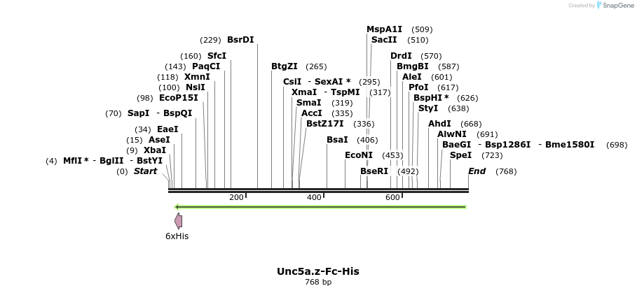 137085_map