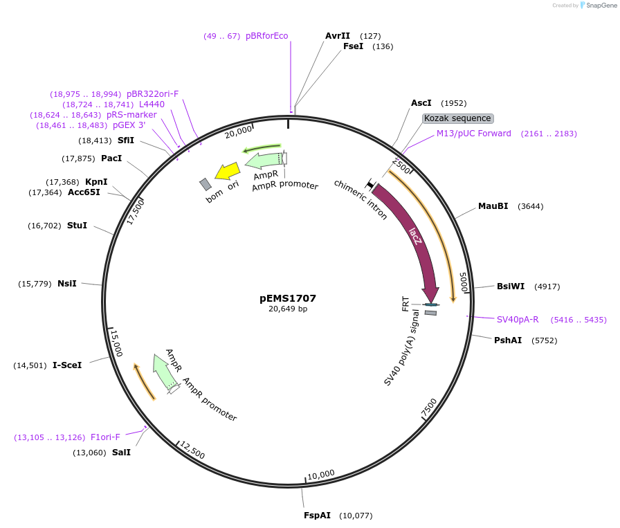 13710_map