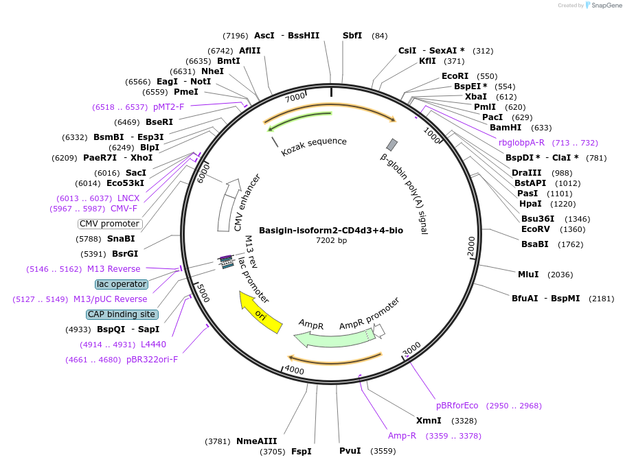 137108_map