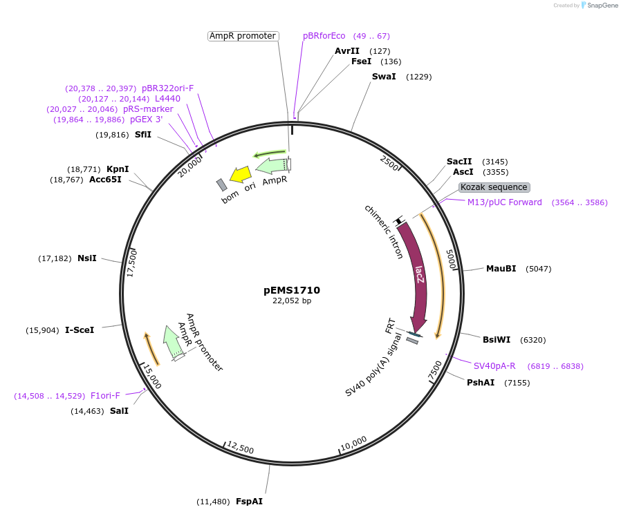 13711_map
