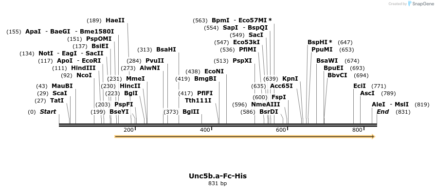 137113_map