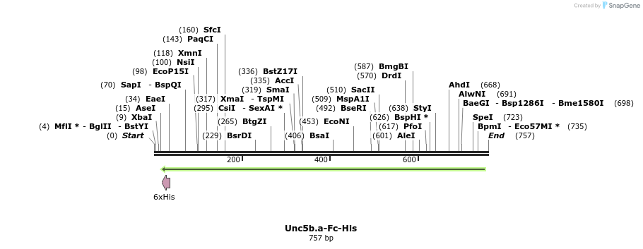 137114_map