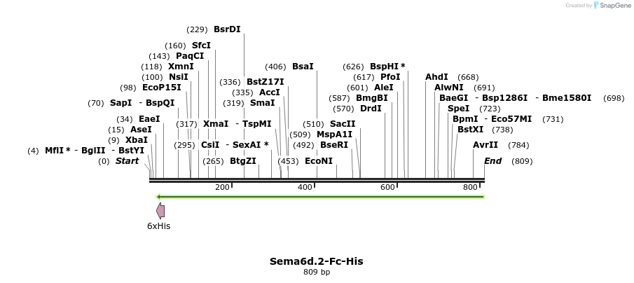 137116_map