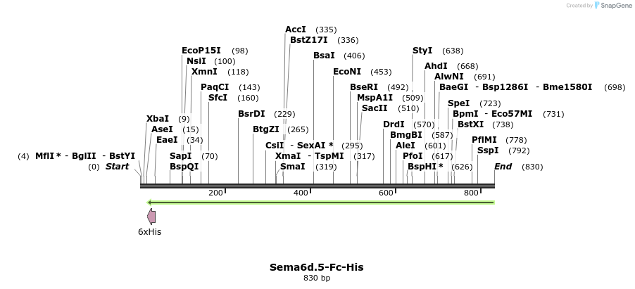 137118_map