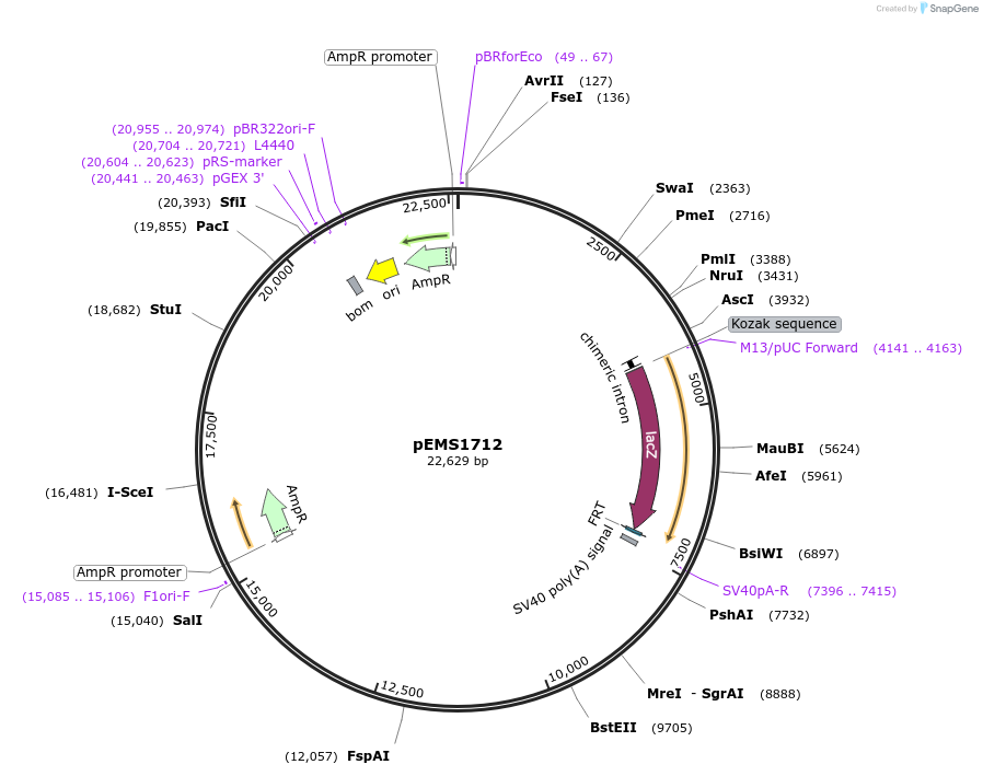 13712_map