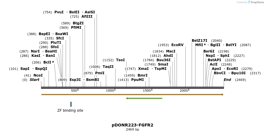 137121_map