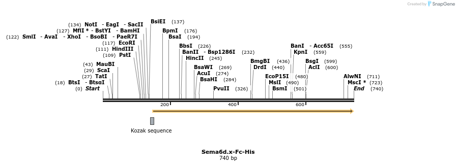137122_map