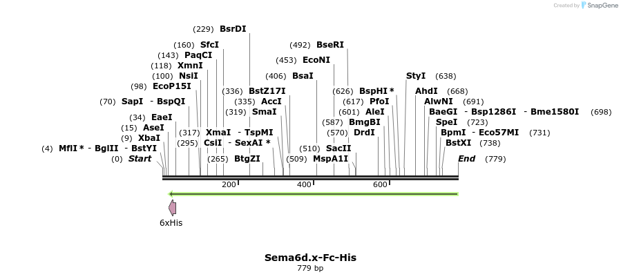 137123_map