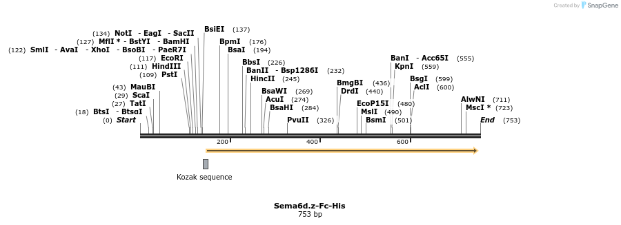 137124_map