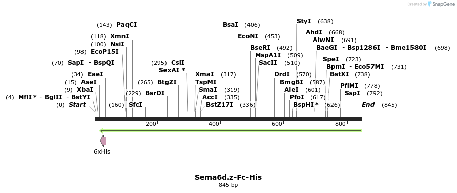 137125_map