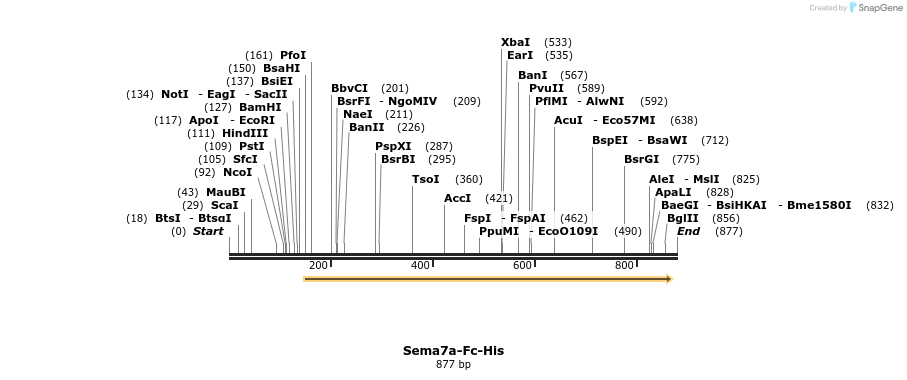 137126_map