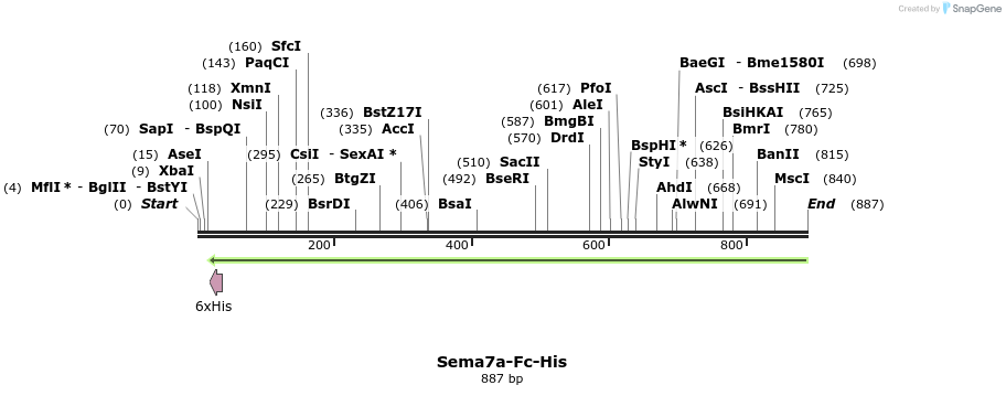 137127_map