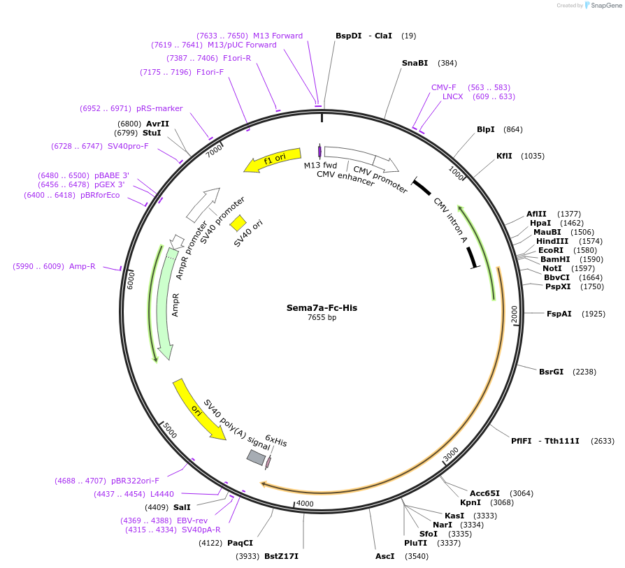 137128_map