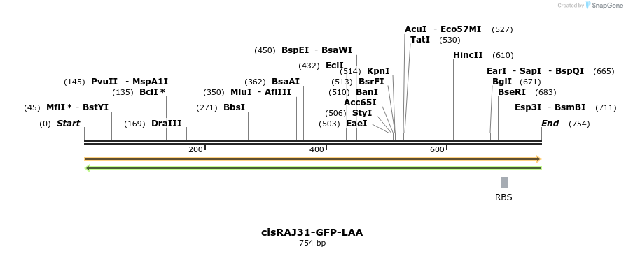 137129_map