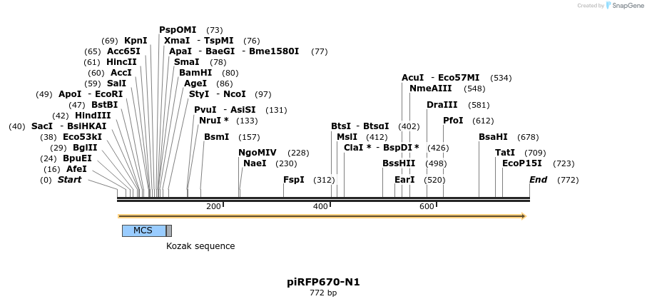 137130_map