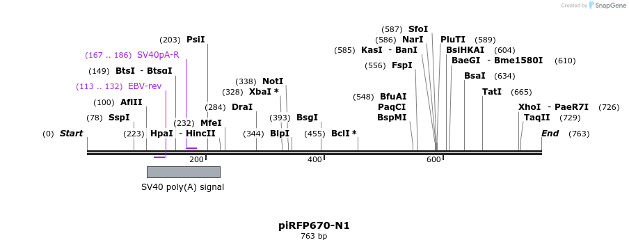 137132_map