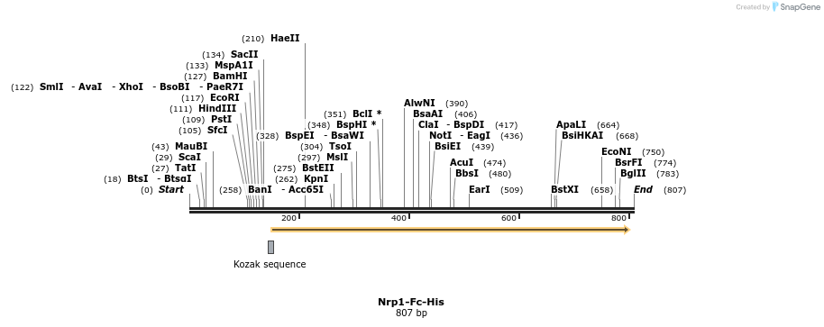 137133_map