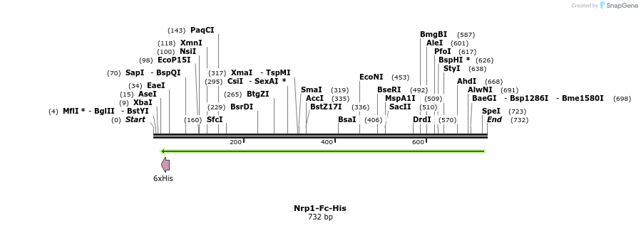 137134_map